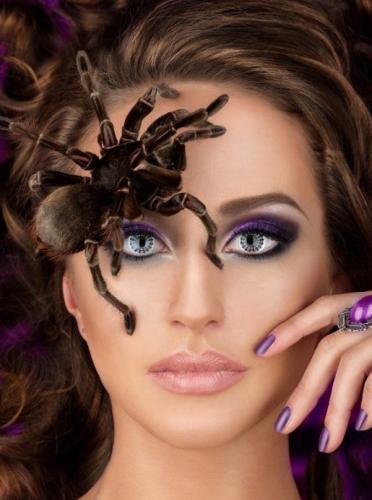 Линзы Spider Web - купить 