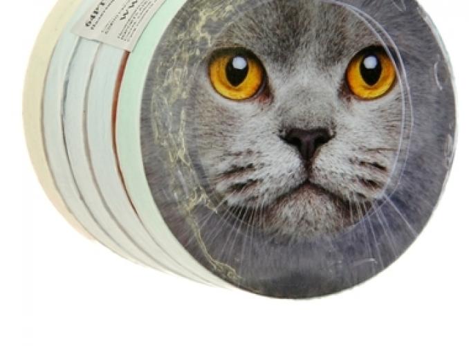 Полотенце прессованное Collorista Кот, размер 28х28 см, цвет микс