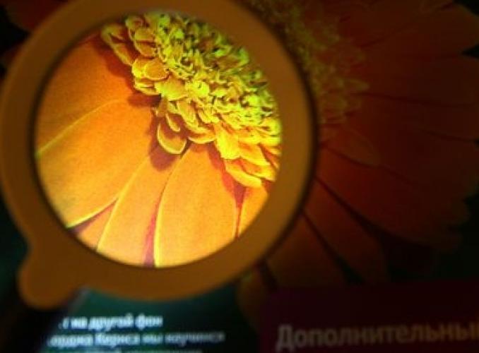 Лупа сувенирная х3, LED, цвет белый