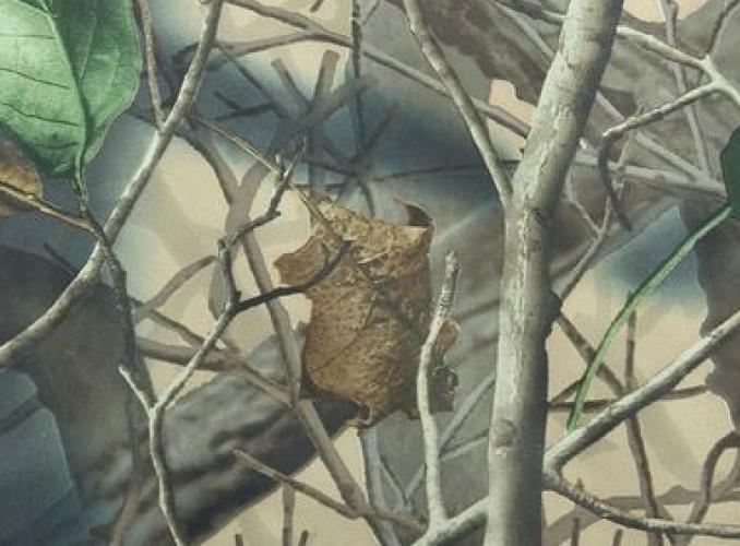 Костюм демисезонный Егерь р-р 60-62/184