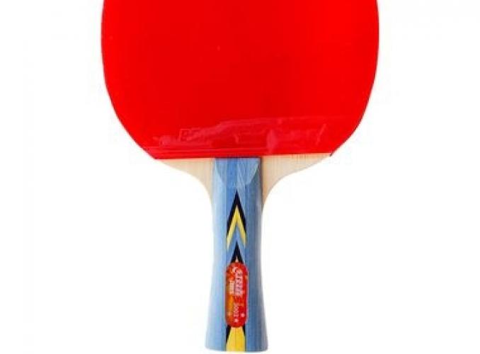 Ракетка для настольного тенниса DHS A3002, для тренировок, накладка 2,2 мм, коническая ручка