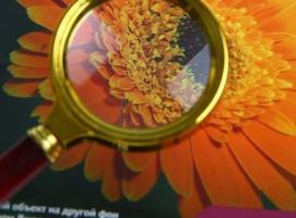 Лупа золото с коричневой ручкой 6х d=70мм пластик 16,5см