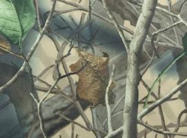 Костюм демисезонный Егерь р-р 60-62/184